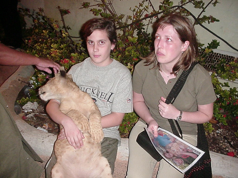 Griffin And Erica With The Lion 3.jpg